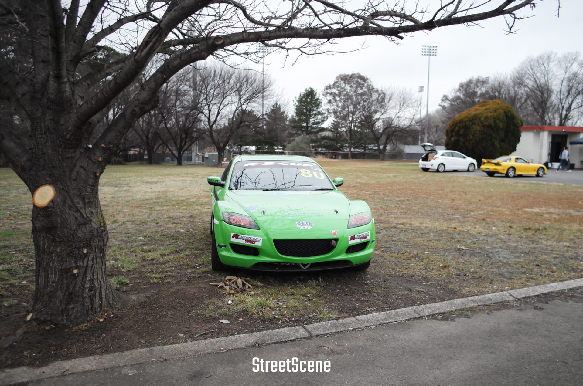 Green race car parked on grass near a tree with other cars and trees in the background.