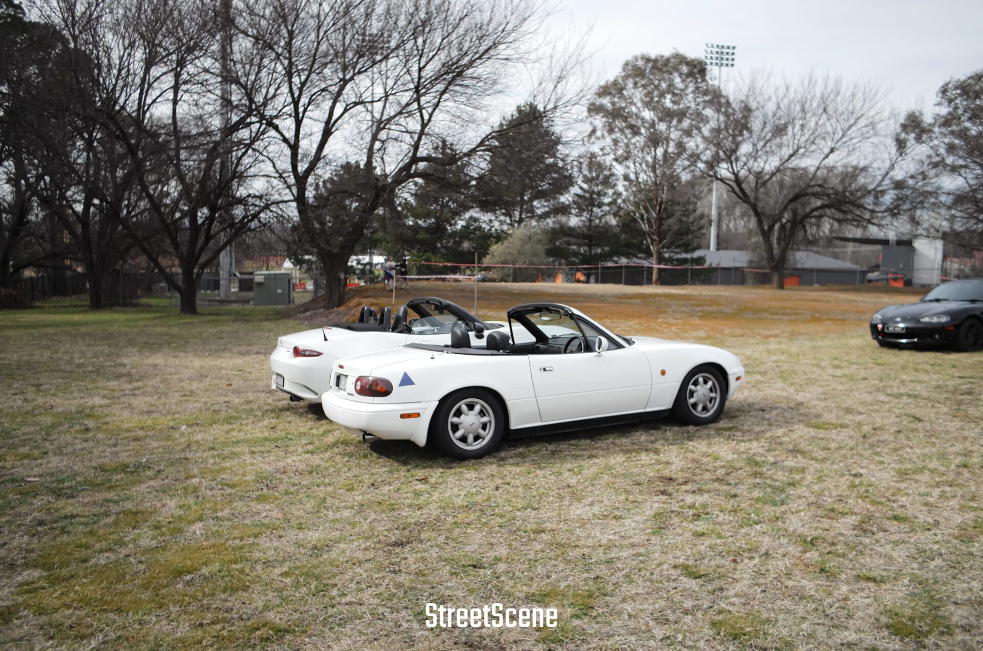 Two white convertible sports cars parked on grass with bare trees in the background.