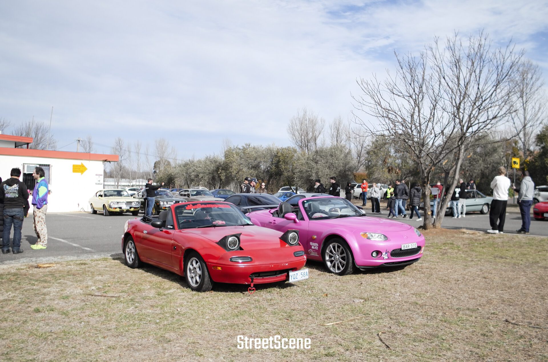 Two convertible sports cars, one red and one pink, parked on grass at a car meet with people nearby.