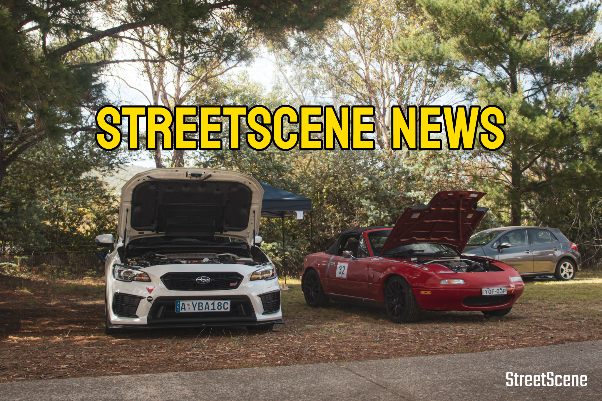 What's on this weekend? 21 - 23 November 2025 image